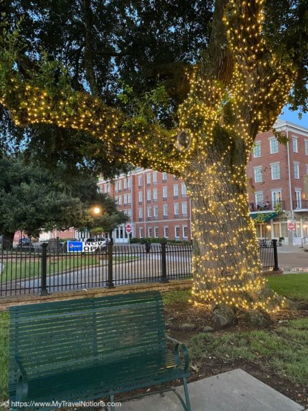 Natchez, Mississippi: A history of Native Americans, Slavery, Cotton ...